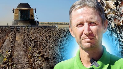 Колаж Суспільне Миколаїв