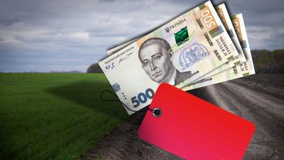 Скільки платять за пай на Полтавщині: умови агрохолдингів і фермерів