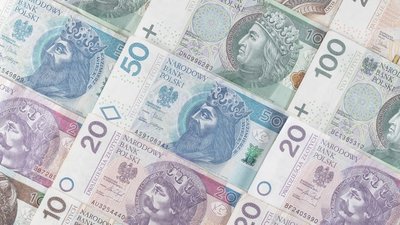 Не задекларував і хотів провезти через кордон іноземну валюту. На "Ягодині" попався порушник