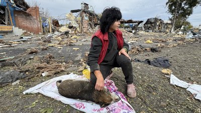 Зооволонтерка Ірина надає допомогу Малишу після російського обстрілу, Святогірськ