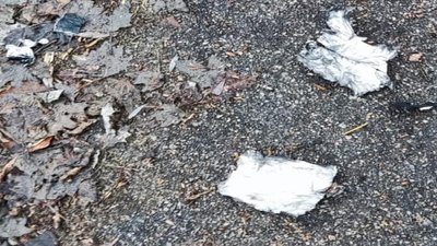 Прикордонники збили понад десять дронів армії РФ на Оріхівському напрямку