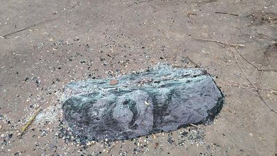 Лікарня імені Лучанського у Херсоні лишилась без опалення через обвал дерева (ФОТО) Лікарня імені Лучанського у Херсоні лишилась без опалення через обвал дерева (ФОТО)