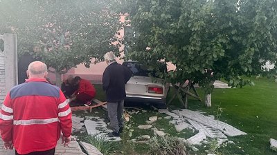 ДТП Апостолове, аварія Криворіжжя, 19-річний водій збив 4 дітей