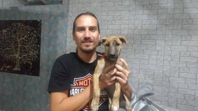 В Індії з собакою: львів'янин не може повернутися додому