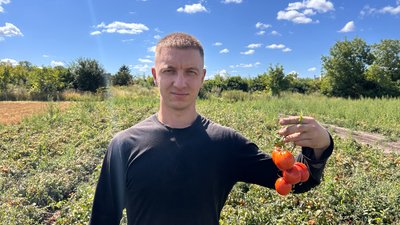 Олександр Боярчук тримає у руках гілку помідорів