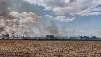 У Черкасах горіла трава біля поля У Черкасах горіла трава біля поля