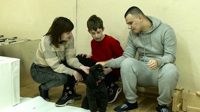 У Кропивницькому в реабілітації дітей з інвалідністю допомагають собаки-терапевти У Кропивницькому в реабілітації дітей з інвалідністю допомагають собаки-терапевти