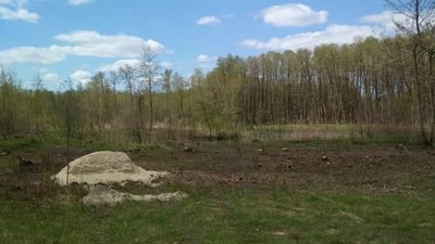 На Херсонщині незаконно вирубали дерева на суму понад 23 млн. гривень На Херсонщині незаконно вирубали дерева на суму понад 23 млн. гривень