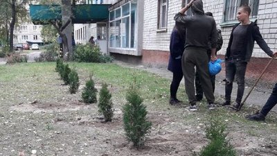 "Зелена пам'ять": учні черкаського ліцею висадили біля свого гуртожитку туї