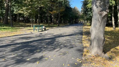 Парк у Чернівцях