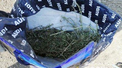 Півкілограма канабісу вилучили у наркозалежного оперативники на Херсонщині