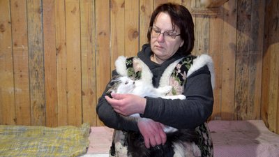 У кожного своя історія: в луцькій "Ласці" прихистили 35 котів У кожного своя історія: в луцькій "Ласці" прихистили 35 котів