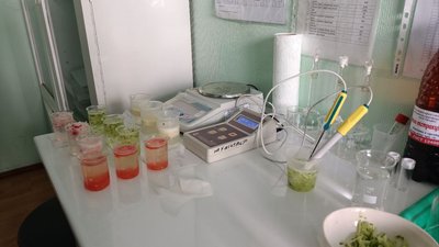 Вміст нітратів у ранніх овочах: результати перевірок на ринках Волині Вміст нітратів у ранніх овочах: результати перевірок на ринках Волині