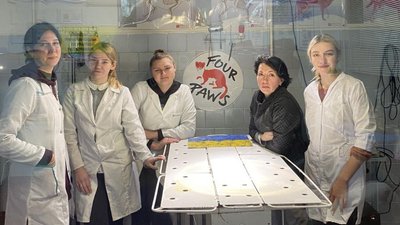 У Сумах проходить акція з безоплатної стерилізації котів У Сумах проходить акція з безоплатної стерилізації котів
