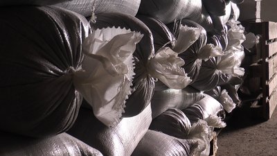 Тисячі гектарів ячменю і пшениці. Як на Франківщині сіють ярі зернові? Тисячі гектарів ячменю і пшениці. Як на Франківщині сіють ярі зернові?