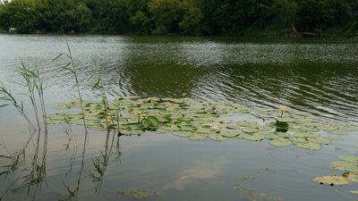 Південний Буг у Вінниці