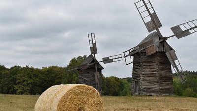 Музей народної архітектури в Пирогові закрився через карантин