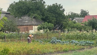 Сарана, Дніпропетровщина, врожай, захист, обробка
