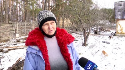 50 котів і дев'ять собак – на Житомирщині жінка облаштувала вдома імпровізований притулок для тварин 50 котів і дев'ять собак – на Житомирщині жінка облаштувала вдома імпровізований притулок для тварин