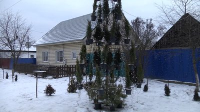 Вогні Семенівки: чоловік прикрасив подвір’я материної хати тисячами лампочок Вогні Семенівки: чоловік прикрасив подвір’я материної хати тисячами лампочок
