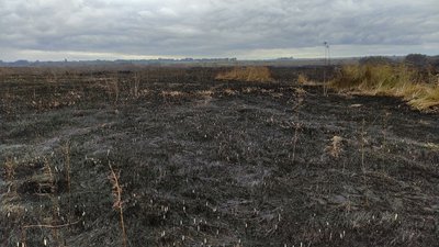 На Полтавщині торф’яна пожежа охопила 15 гектарів національного природного парку На Полтавщині торф’яна пожежа охопила 15 гектарів національного природного парку