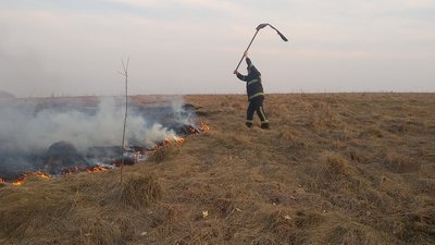 На Житомирщині протягом доби виникло 9 пожеж сухостою. Опіки отримали 3 людини