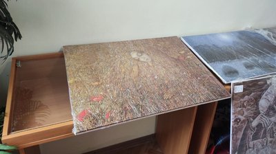Художник Іван Марчук забрав свої твори з музею в Москалівці