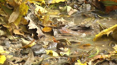 Фото: Суспільне Поділля Фото: Суспільне Поділля