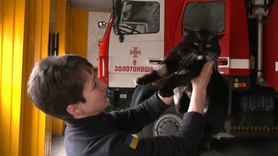 Ходить на наради та підтримує психологічно: на Черкащині в пожежній частині служить кіт-рятувальник Васька Ходить на наради та підтримує психологічно: на Черкащині в пожежній частині служить кіт-рятувальник Васька
