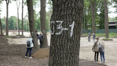 Будівництво паркінгу у парку Горького у Харкові: як Будівництво паркінгу у парку Горького у Харкові: як