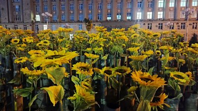 З гільз проростають соняхи: у Черкасах встановили тематичну інсталяцію З гільз проростають соняхи: у Черкасах встановили тематичну інсталяцію
