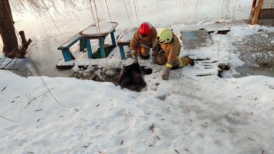Загиблий, Пісочин, ставок