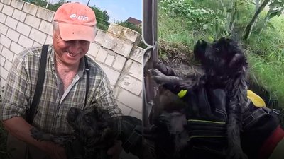 Рятувальники дістали собаку з колодязя на Рівненщині