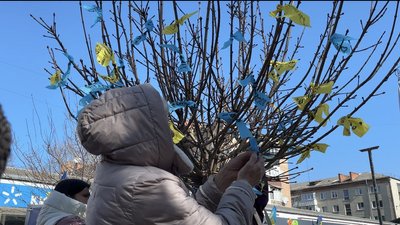 Учасники акції пов'язали стрічки на "Дерево надії", 15 березня 2026 року, Хмельниччина