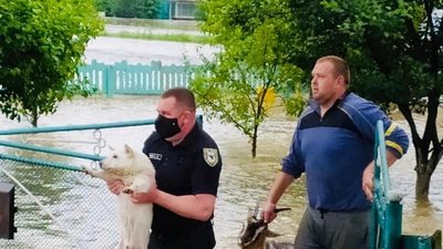 По пояс у воді: на Прикарпатті затопило будинки у селі Старий Хлібичин По пояс у воді: на Прикарпатті затопило будинки у селі Старий Хлібичин