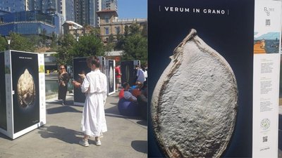 "Істина – в зерні": в Одесі відкрили фотовиставку, присвячену екології міського простору