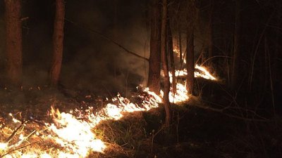 Уночі на Великдень загасили пожежу в лісі на Монастирищині Уночі на Великдень загасили пожежу в лісі на Монастирищині
