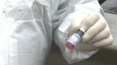 На Полтавщині планово вакцинують від сказу домашніх тварин: що відомо На Полтавщині планово вакцинують від сказу домашніх тварин: що відомо