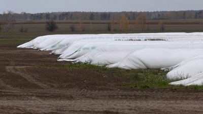 Немає де зберігати зібраний врожай: Чернігівські аграрії отримають понад три тисячі рукавів для зерна Немає де зберігати зібраний врожай: Чернігівські аграрії отримають понад три тисячі рукавів для зерна