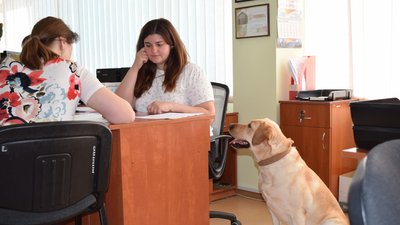 У Луцькому ЦНАПі долучились до акції "Візьми собаку на роботу" У Луцькому ЦНАПі долучились до акції "Візьми собаку на роботу"