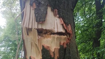 Вторгнення Росії в Україну: що відбувається на Сумщині. Тиждень 16. Онлайн Вторгнення Росії в Україну: що відбувається на Сумщині. Тиждень 16. Онлайн