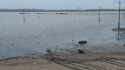 Куяльницький лиман на Одещині продовжує висихати: що робитимуть в ОДА Куяльницький лиман на Одещині продовжує висихати: що робитимуть в ОДА