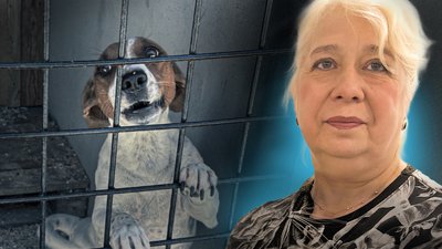 Заради тварин звільнилася з прокуратури: зооволонтерка з Кременчука утримує 500 тварин