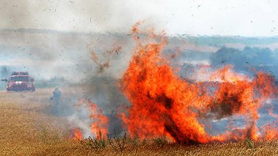 У Кам'янець-Подільському районі від вогню врятували 285 гектарів хлібного поля