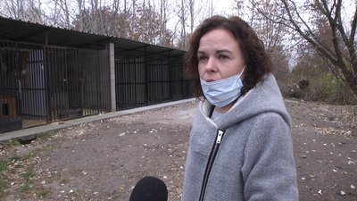 У Житомирі облаштували п'ять нових вольєрів для собак, яких забрали з вулиці У Житомирі облаштували п'ять нових вольєрів для собак, яких забрали з вулиці