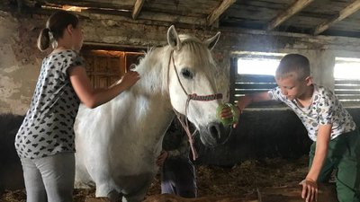 Христина Шевчишин доглядає за конем Христина Шевчишин доглядає за конем