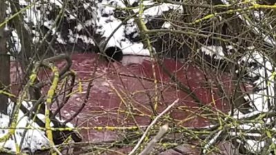 Понад 160 тисяч гривень заплатило прикарпатське підприємство за забруднення земель