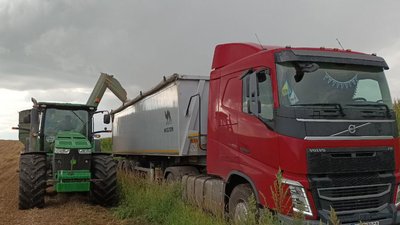 У громаді на Тернопільщині не спішать продавати пшеницю нового врожаю У громаді на Тернопільщині не спішать продавати пшеницю нового врожаю