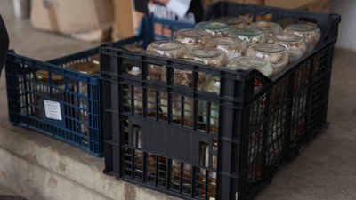 Волонтерять усім селом. Як в громаді на Буковині впродовж року війни допомагають військовим
