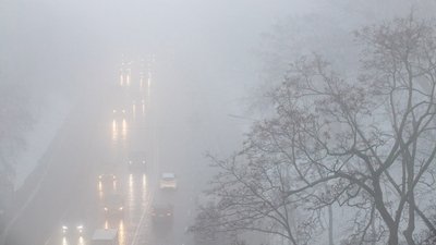 Синоптики попереджають про туман у Києві та області